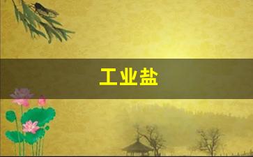 工业盐(工业盐成分)_https://www.huakunhengjia.com_期货资讯_第1张