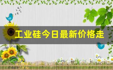 工业硅今日最新价格走势(工业硅今日最新价格走势行情)_https://www.ljyuan-tech.com_深交所_第1张
