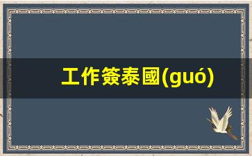 泰國(guó)工作簽證出境辦理攻略，簽證手續(xù)詳解及出境流程