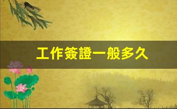工作簽證一般多久(工作簽證一般多久出簽)
