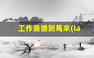馬來(lái)西亞工作簽證下飛機(jī)攻略，辦理途徑及入境流程詳解