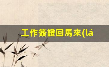 工作簽證回馬來(lái)西亞(工作簽證多少錢)