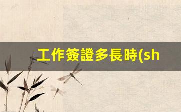 工作簽證多長時(shí)間有效(工作簽證費(fèi)用是多少錢一年)