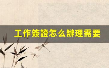 工作簽證怎么辦理需要多少錢(工作簽證申請條件)