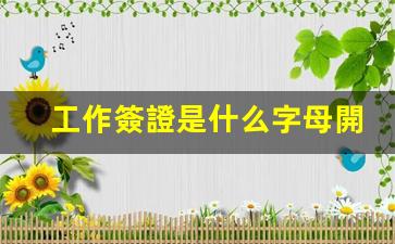 工作簽證是什么字母開(kāi)頭(工作簽證樣本)