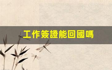 工作簽證能回國嗎(工作簽證怎么辦理)