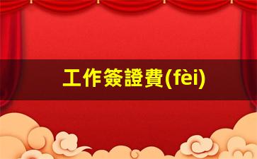 工作簽證費(fèi)用是多少錢一年的(工作簽證一次期限是多久)