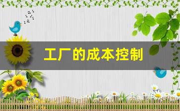 工厂的成本控制(工厂成本控制与精细化管理)_https://www.taocizhiliang.com_设计报价_第1张