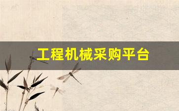 工程机械采购平台(工程机械拍卖平台)_https://www.heiljjianzu.com_科创板_第1张