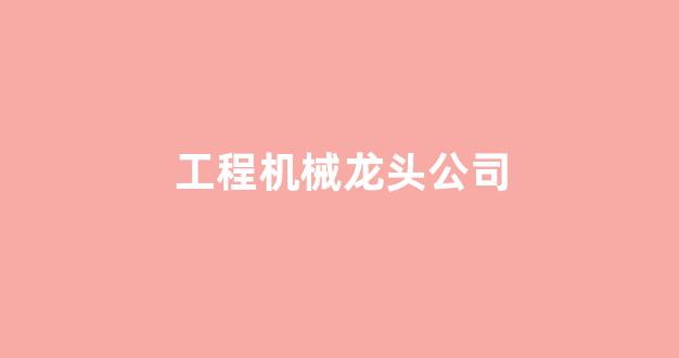 工程机械龙头公司(工程机械龙头上市公司)_https://www.jnskb.com_装修公司_第1张