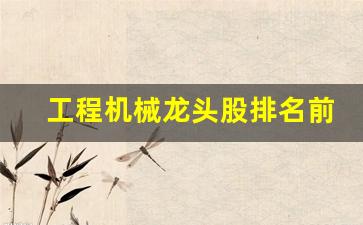 工程机械龙头股排名前十(工程机械概念龙头股)_https://www.eamstsz.com_上交所_第1张
