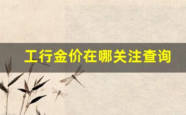 工行金价在哪关注查询_工商银行金价查询