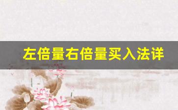 左倍量右倍量买入法详解(左右倍量柱)_https://www.qgjzrcxxzxpt.com_大商所_第1张
