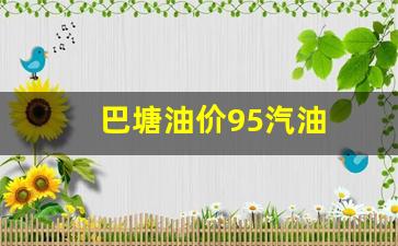 巴州今日油价-巴塘油价95汽油