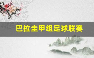 巴拉圭甲组足球联赛-巴拉圭足球甲级联赛最新比分