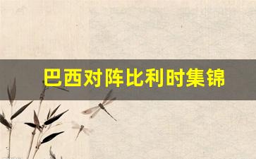巴西对阵比利时集锦-巴西对阵比利时集锦视频