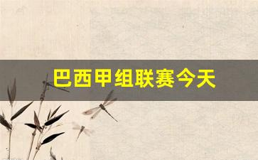 巴西甲组联赛今天-巴西甲组联赛赛程比分