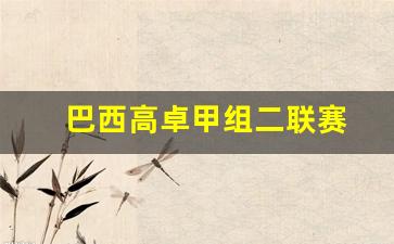 巴西高卓甲组联赛赛程比分-巴西高卓甲组二联赛
