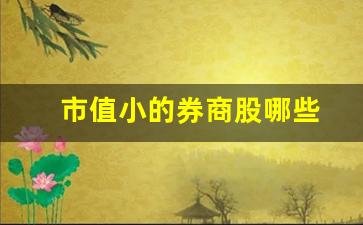 市值小的券商股哪些(低位券商股有哪些)_https://www.taocizhiliang.com_装修公司_第1张