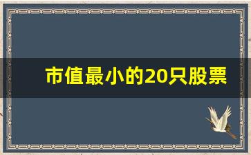 市值最小的20只股票公司(总市值最小的股票)_https://www.jumanxin.com_北交所_第1张