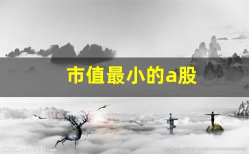 市值最小的a股(2021市值最小的股票)_https://www.gzyhshgzzx.com_中金所_第1张