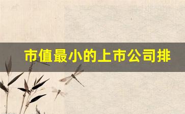 市值最小的上市公司排行榜(目前市值最小的上市公司)_https://www.qldgs.com_期货_第1张