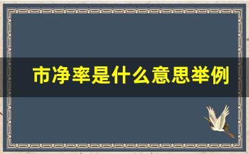 市净率是什么意思举例说明(多少合适)_https://www.kairu168.com_上期能源_第1张