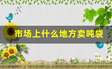 市场上什么地方卖吨袋(吨袋布料哪里最多)_https://www.eamstsz.com_科创板_第1张