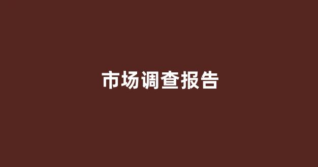 市场调查报告(市场调查报告PPT模板)_https://www.jnskb.com_装修流程_第1张