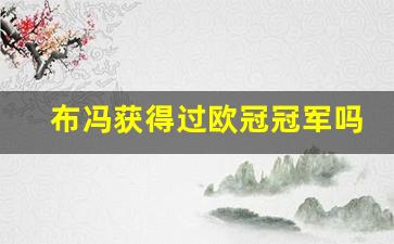 布冯获得过欧冠冠军吗-布冯获得过欧冠冠军吗