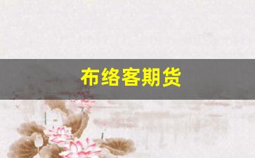 布络客期货(布客网是什么网站)_https://www.hangfeite.com_北交所_第1张