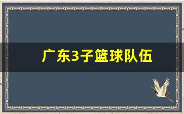 广东3子篮球队伍-广东篮球三号是谁