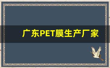 广东pet膜生产厂家排名(pet薄膜生产厂家排名)_https://www.taocizhiliang.com_设计报价_第1张