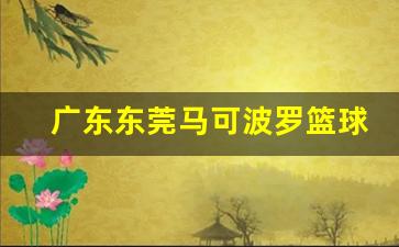 cba东莞马可波罗-广东东莞马可波罗篮球队