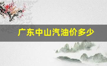 广东中山汽油价格-广东中山汽油价多少