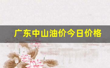 广东中山今日油价92汽油-广东中山油价今