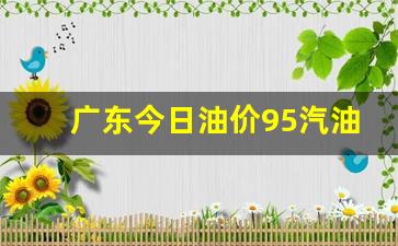 广东今日98油价最新价格-广东今日油价95汽油多少最新消息