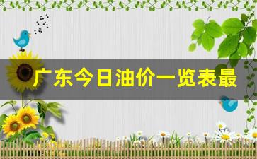 广东油价今日价格表98-广东今日油价一览