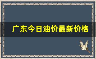 广东今日油价一览表-广东今日油价最新价格