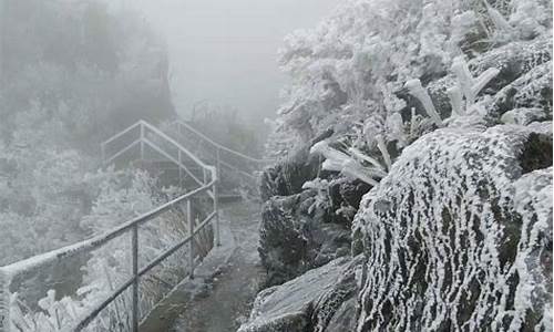 广东冬天有什么天气吗_冬天广东的天气寒冷吗