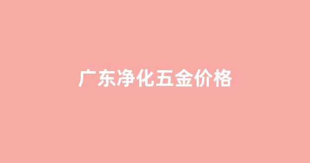广东净化五金价格_广东净化五金价格多少