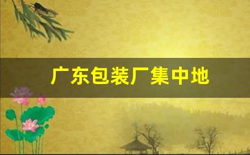 广东包装厂集中地(广东最大的包装厂)_https://www.eamstsz.com_北交所_第1张