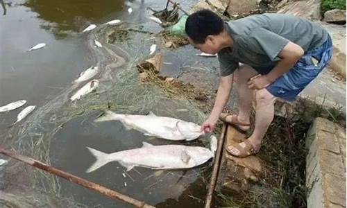 为什么2050年我国人口会下降_广东天气