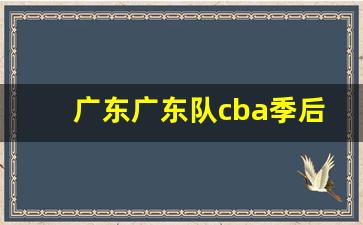 cba广东队战况-广东广东队cba季后赛