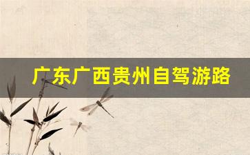 广东广西贵州自驾游路线怎么走-广东自驾贵州旅游攻略