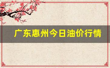 广东惠州今日油价行情-惠州实时油价