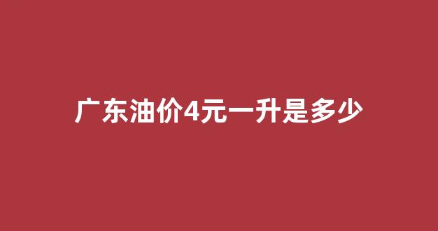 广东油价多少钱_广东油价4元一升是多少