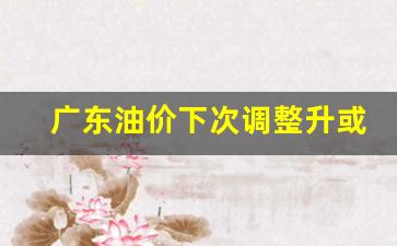 广东油价下次调整升或跌-广东油价变化