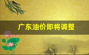 广东油价即将调整最新消息-广东油价即将调整
