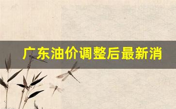 广东油价调整后最新消息-广东油价调整后最新消息查询